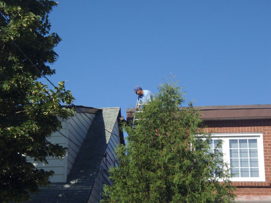 local contractor local roofer